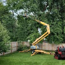 Trusted Winterville, NC  Tree Services Experts